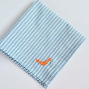 Pañuelo  ralla menta/azul